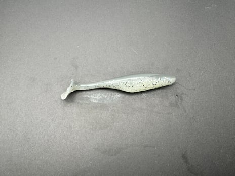 Smoked Mullet Paddle Tail