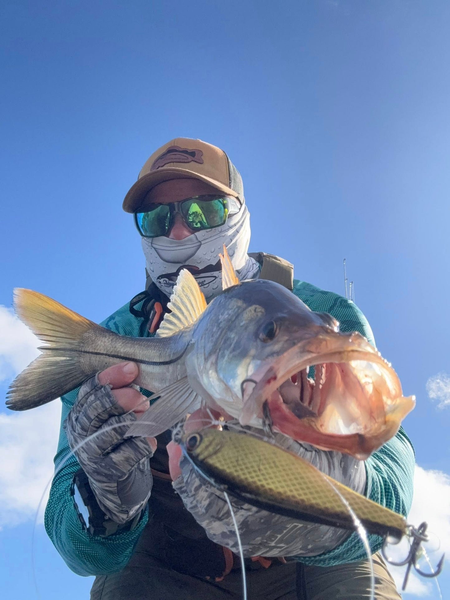 Gold in Black 4 inch twitch bait