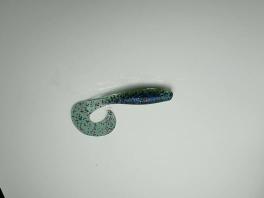 Blue Crab Curly Tail