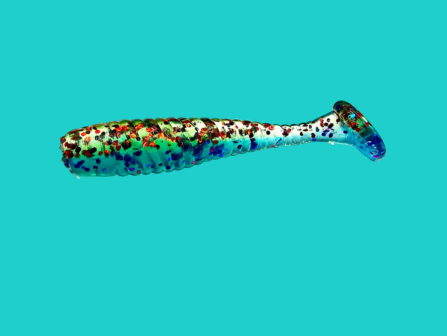 2.5 Inch Paddle Tails