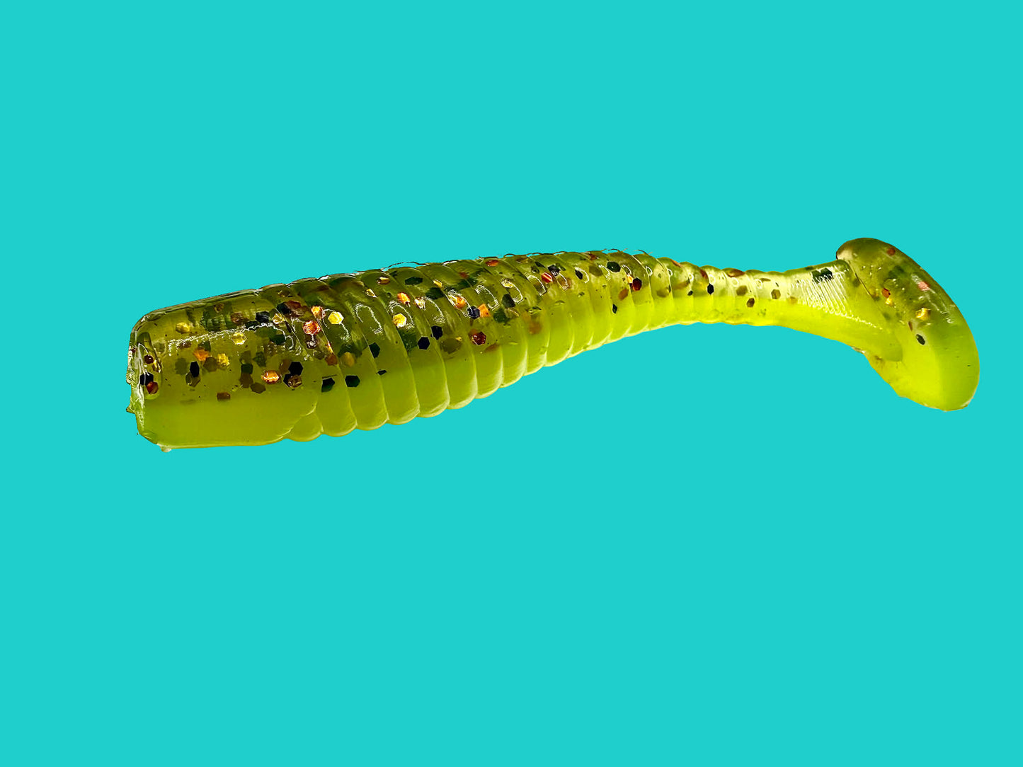 2.5 Inch Paddle Tails
