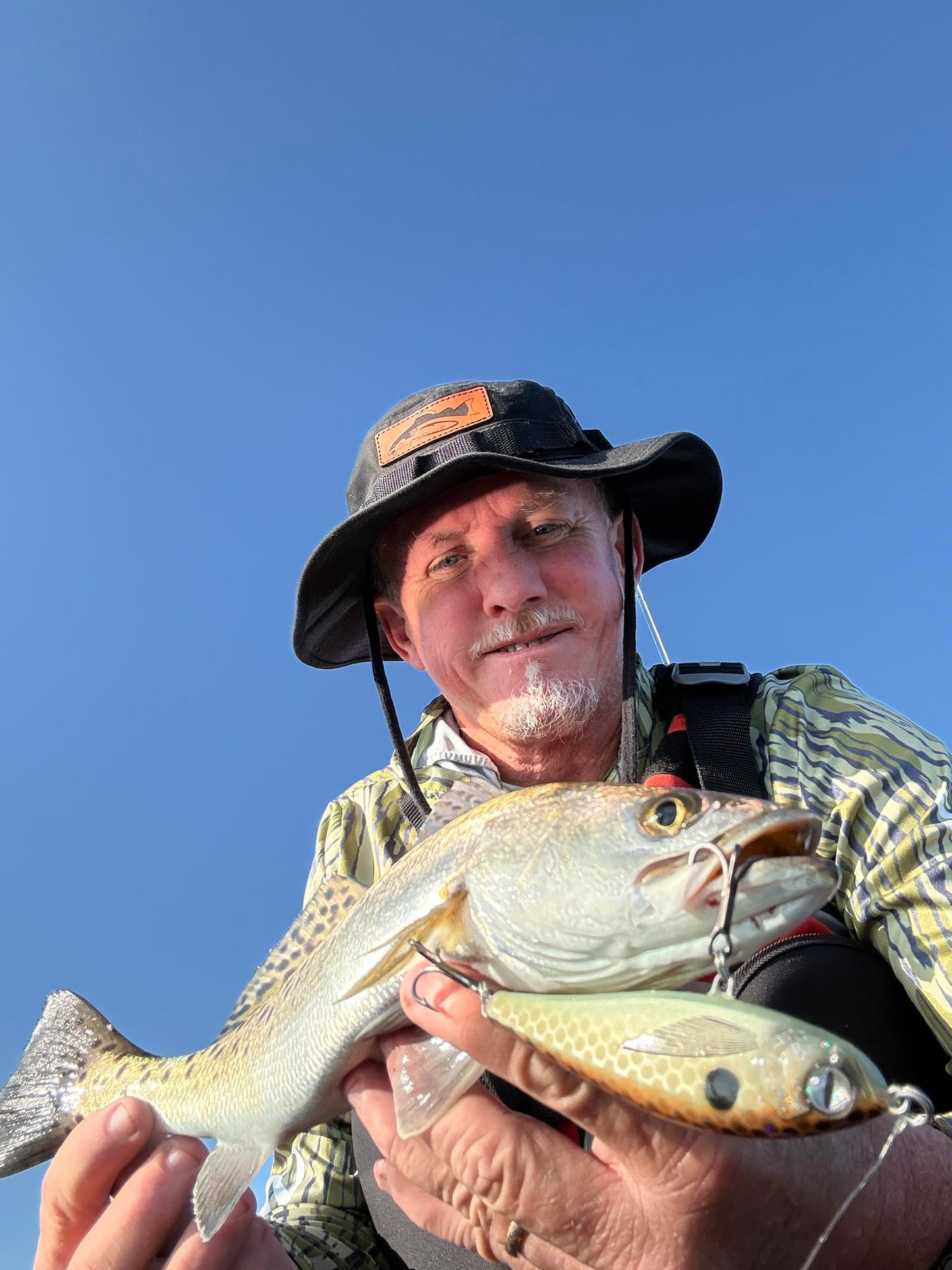 Amber Assassin 4 Inch Twitch Bait