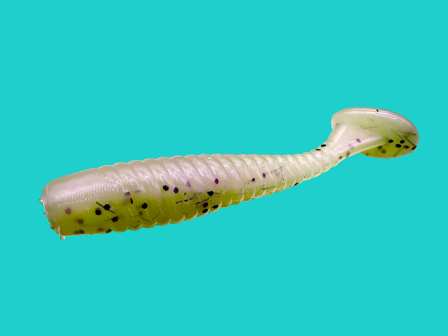 2.5 Inch Paddle Tails