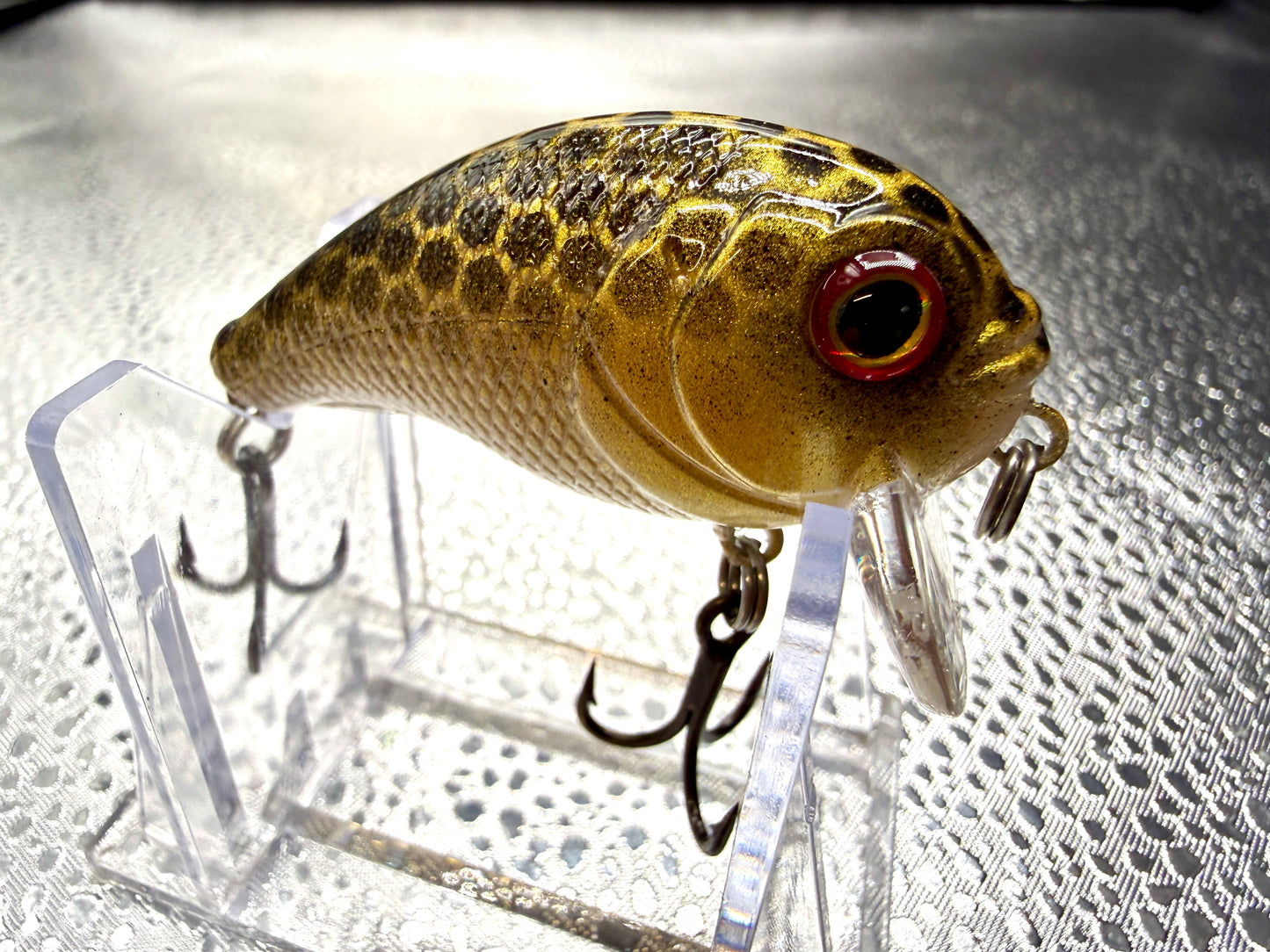 Black and gold Mini Wake Bait