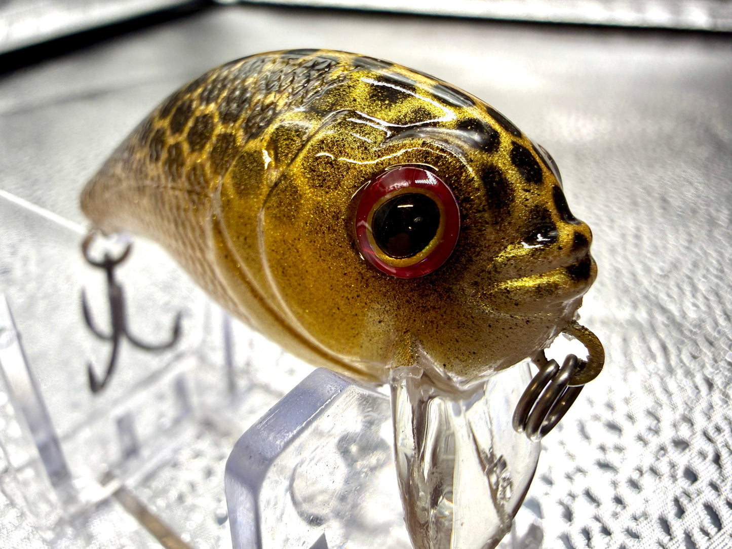 Black and gold Mini Wake Bait