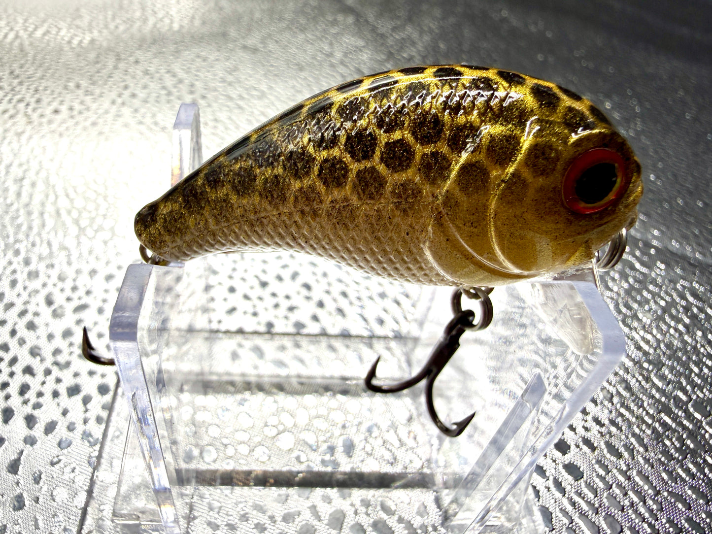 Black and gold Mini Wake Bait