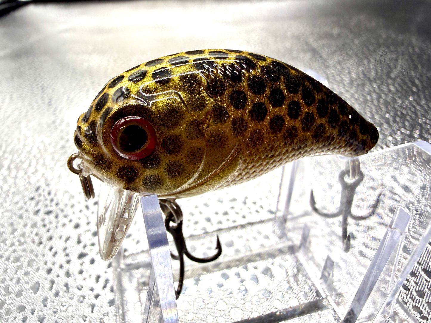 Black and gold Mini Wake Bait