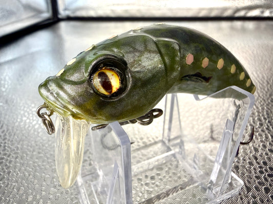 The Crock Wake Bait 4inch