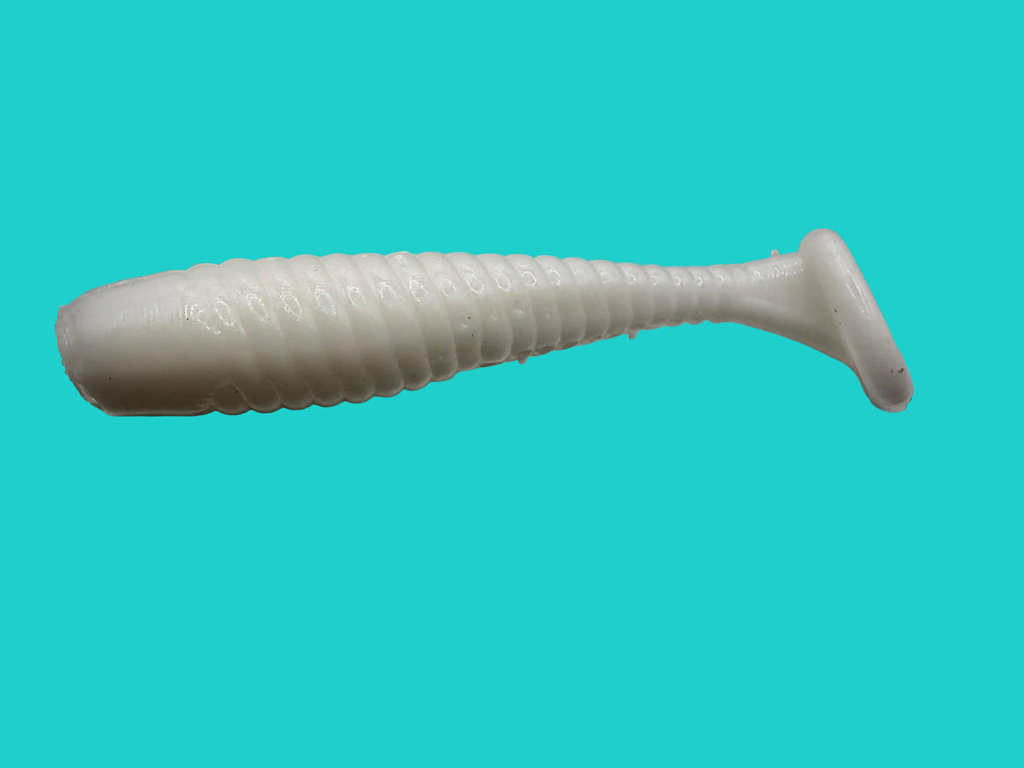 2.5 Inch Paddle Tails