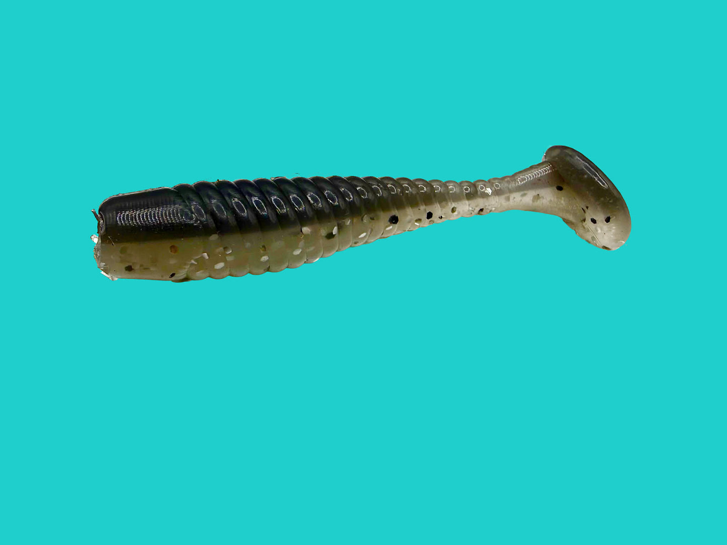 2.5 Inch Paddle Tails