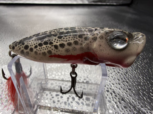 Beige Spotted Top Water Popper 3"
